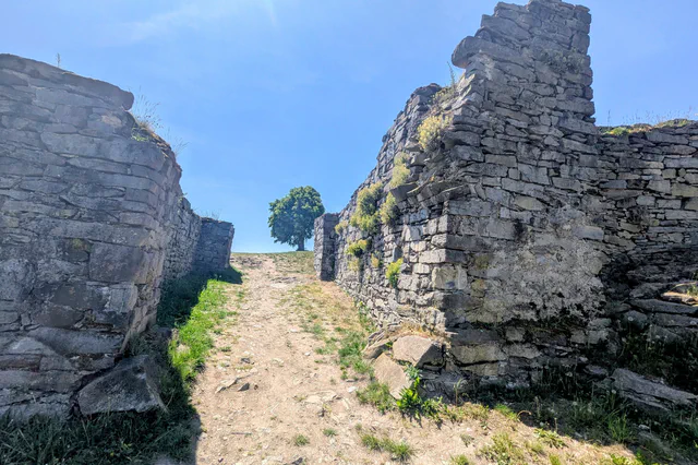 Panna a Kalich